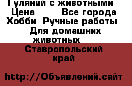 Гуляний с животными › Цена ­ 70 - Все города Хобби. Ручные работы » Для домашних животных   . Ставропольский край